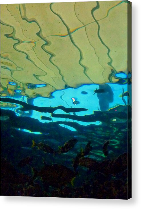 Flaquarium Acrylic Print featuring the photograph Fish Eye View  by Susan Duda