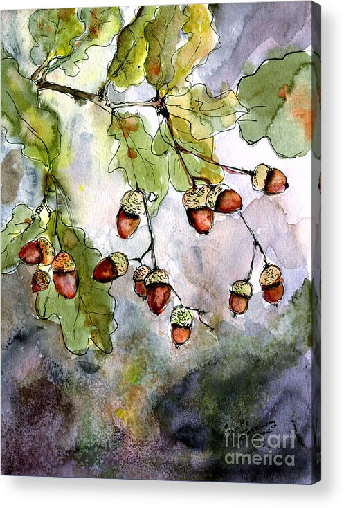 Acorns Acrylic Print featuring the painting Acorns by Ginette Callaway