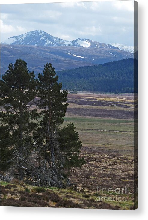 Bynack More Acrylic Print featuring the photograph Bynack More and Beag - Cairngorm Mountains by Phil Banks