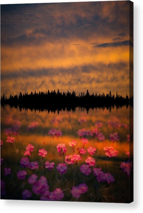 Canada Acrylic Print featuring the photograph Destiny by Doug Gibbons