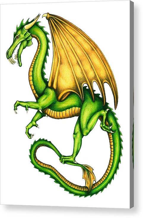 Dragon Acrylic Print featuring the drawing Dragon by Sheryl Unwin