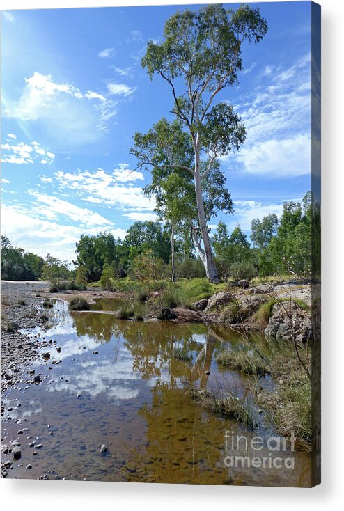 Finke River Acrylic Print featuring the photograph Finke River - Northern Territory - Australia by Phil Banks