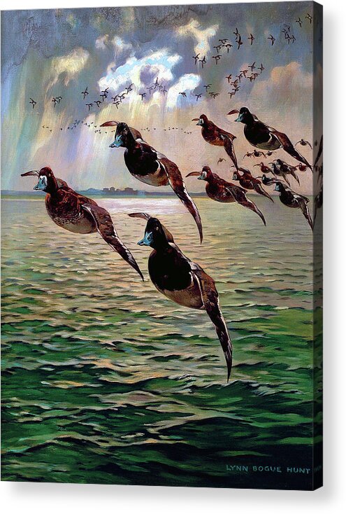 Outdoor Acrylic Print featuring the painting Floating In by Lynn Bogue Hunt