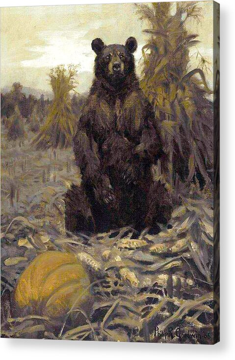 Outdoor Acrylic Print featuring the painting Harvest Bear by Philip R Goodwin