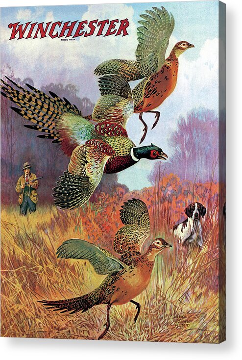 Outdoor Acrylic Print featuring the painting Pheasants On The Rise by Lynn Bogue Hunt