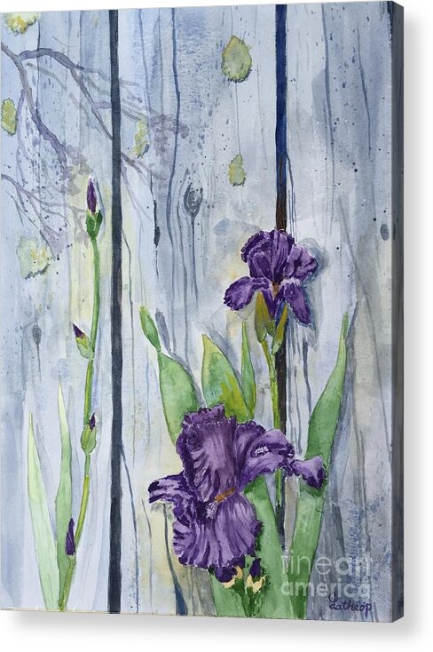 Flower Acrylic Print featuring the painting Purple Iris by Christine Lathrop