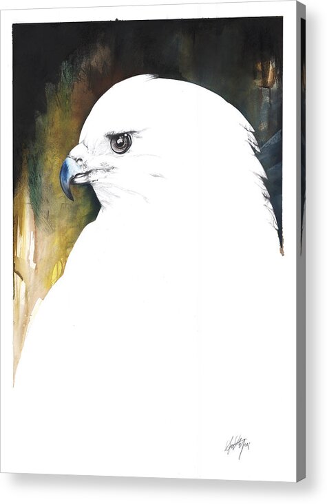 Bird Acrylic Print featuring the mixed media White Red-Tail by Anthony Burks Sr