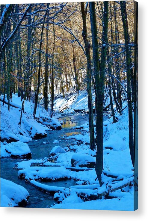 Winter Acrylic Print featuring the photograph Winter's Cold Touch by Gary Edward Jennings