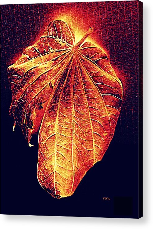 Autumn Acrylic Print featuring the photograph Autumn Leaf Aglow by VIVA Anderson