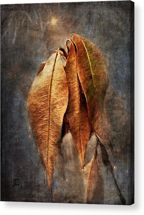 Autumn Acrylic Print featuring the photograph Autumn Slumber by Diane Chandler