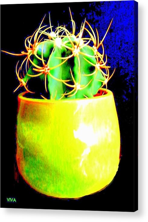 Cactus Contemporary Acrylic Print featuring the photograph Contemporary Cactus by VIVA Anderson