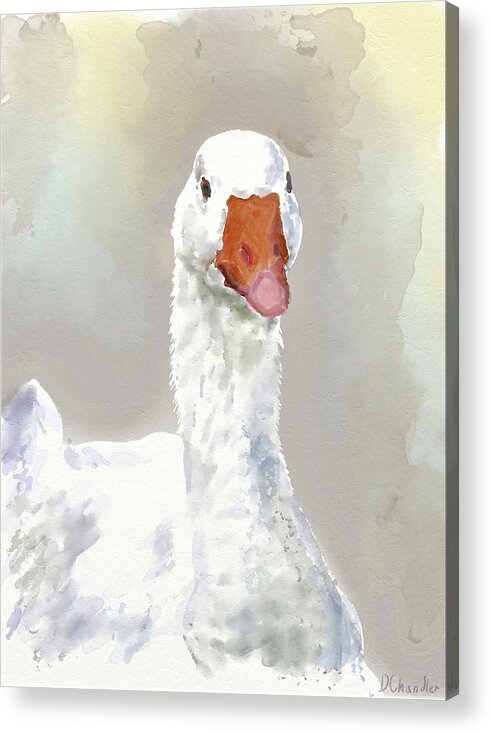 Goose Acrylic Print featuring the painting Goose by Diane Chandler