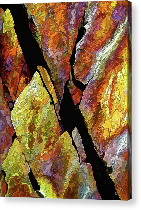 Nature Acrylic Print featuring the photograph Rock Art 17 by ABeautifulSky Photography by Bill Caldwell
