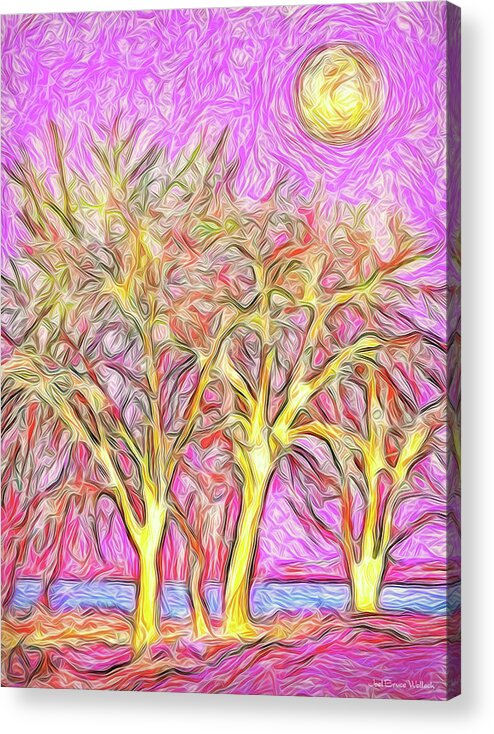 Joelbrucewallach Acrylic Print featuring the digital art Rosy Hued Trees - Boulder County Colorado by Joel Bruce Wallach