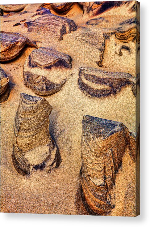 North Carolina Acrylic Print featuring the photograph Outer Banks Sand Sculptures by Dan Carmichael