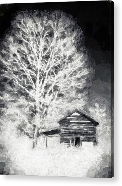 North Carolina Acrylic Print featuring the digital art Shade of a Tree fx by Dan Carmichael