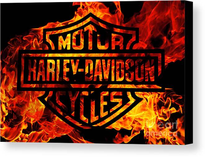 Harley Davidson Logo Flames Canvas Print / Canvas Art by Randy Steele