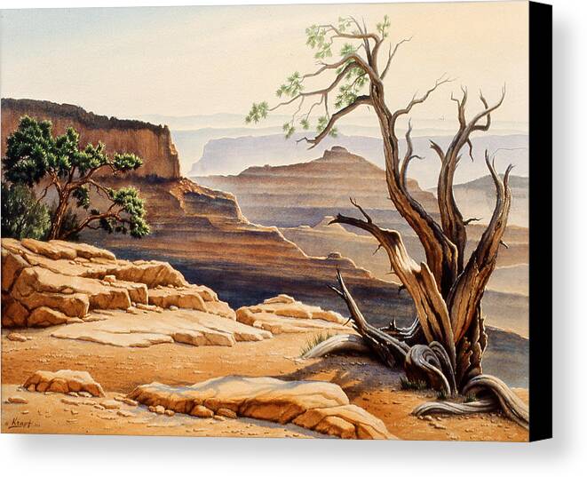 Old Tree At The Canyon Canvas Print / Canvas Art by Paul Krapf