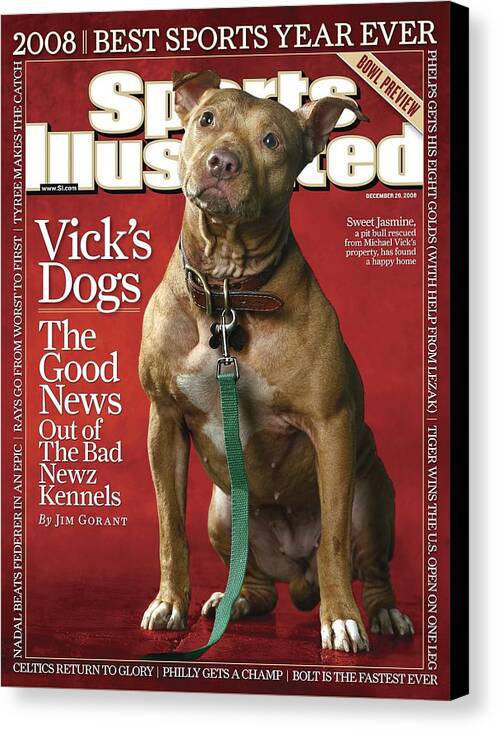 Magazine Cover Canvas Print featuring the photograph Sweet Jasmine, Michael Vicks Pit Bull Dogs Sports Illustrated Cover by Sports Illustrated