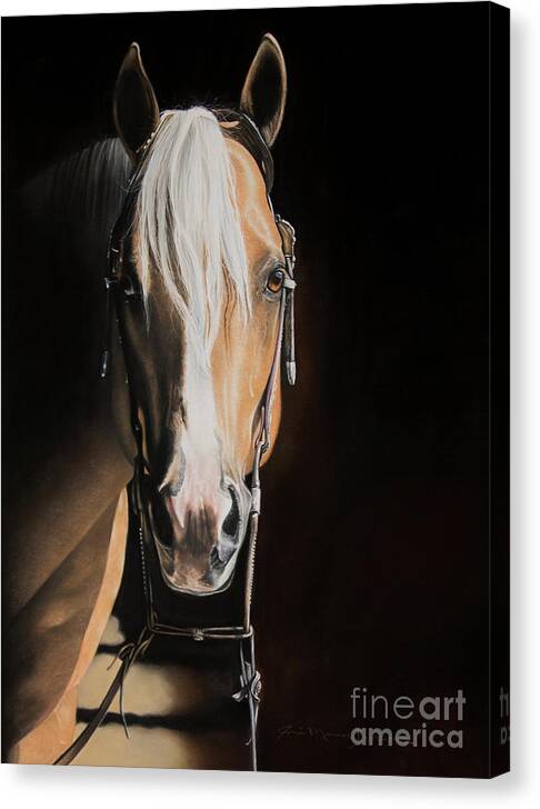 Palomino Canvas Print featuring the pastel From the Shadows by Joni Beinborn