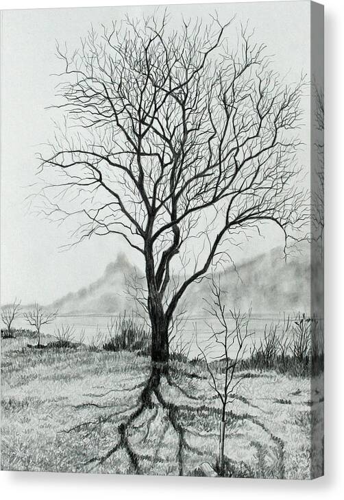 Black And White Canvas Print featuring the drawing Tree of Life by Mary Singer