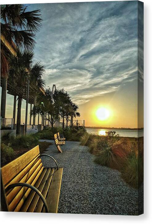 Palm Trees Canvas Print featuring the photograph Palm Tree Sunset by Portia Olaughlin