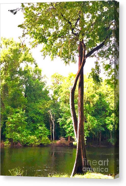 Landscape Photograph Canvas Print featuring the photograph Together by the River by Carol Riddle