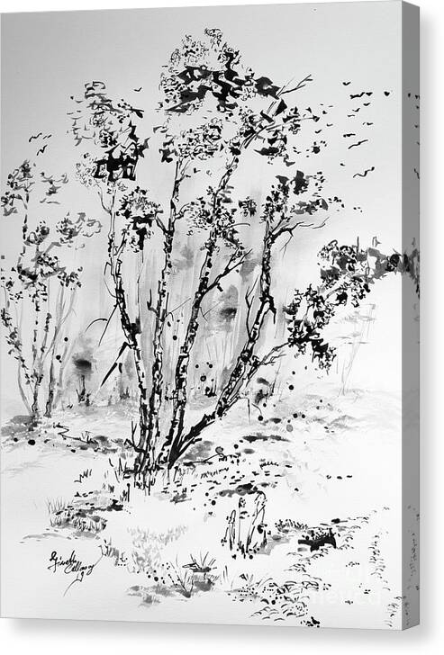 Trees Drawings Canvas Print featuring the drawing Birch Trees Black Ink Drawing by Ginette Callaway