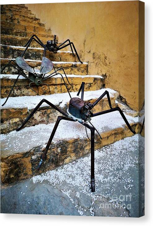 Insect Sculptures Canvas Print featuring the photograph Creepy Crawlers by Jarek Filipowicz