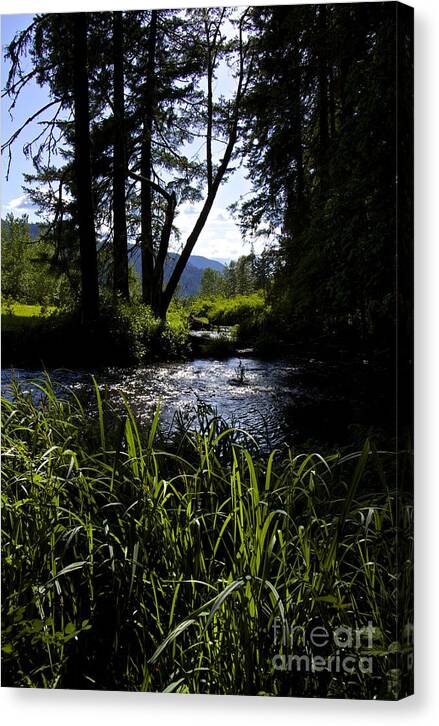 Sterline Blue Canvas Print featuring the photograph Sterline Blue by Tim Rice
