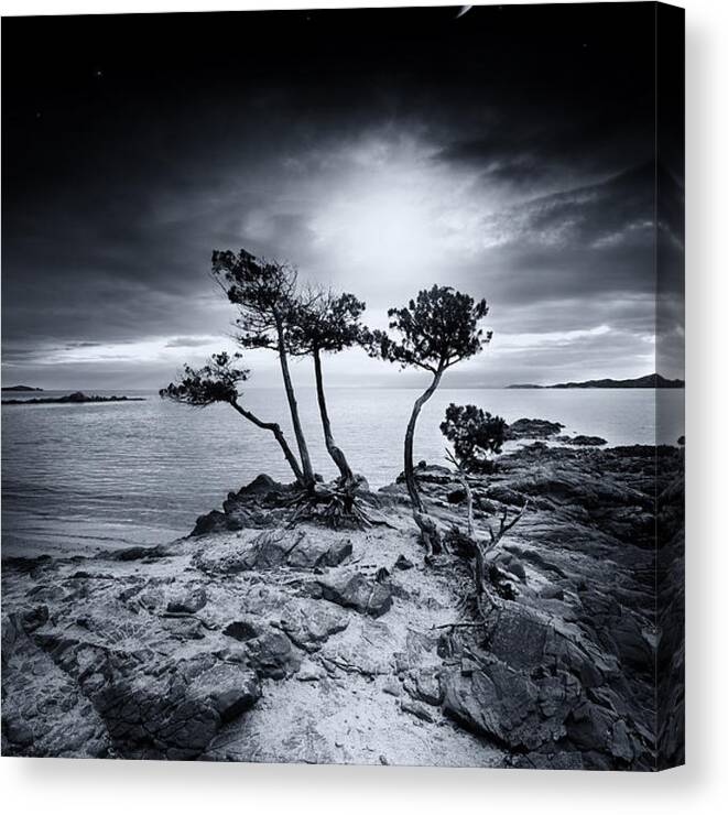 Seascape Canvas Print featuring the photograph Emotional High by Philippe Sainte-Laudy
