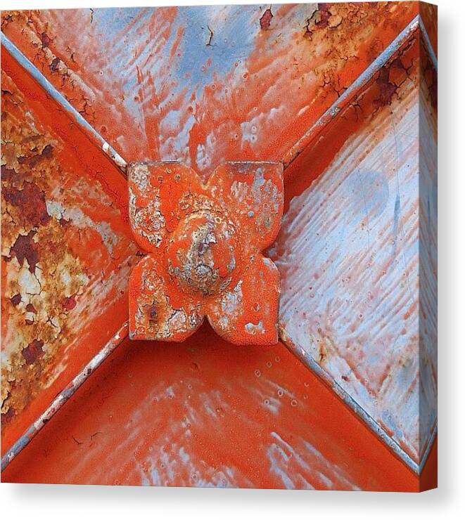 Metal Canvas Print featuring the photograph Rust Blossoms by An Urban Nomad