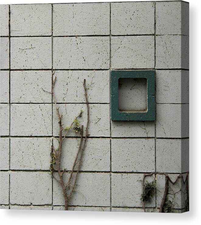 Cinder Block Canvas Print featuring the photograph Vinetastic by Lee Harland