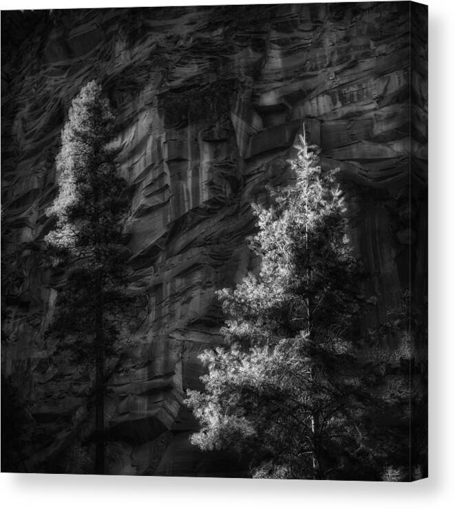 Landscape Canvas Print featuring the photograph West Fork Rock Face Number Three Black and White by Bob Coates