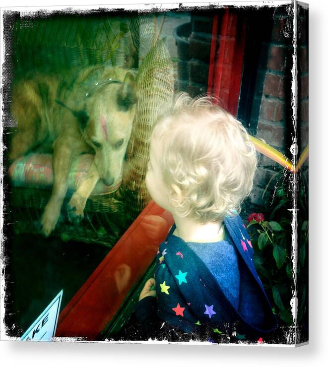Dog Canvas Print featuring the photograph Dog in Window by Suzanne Lorenz