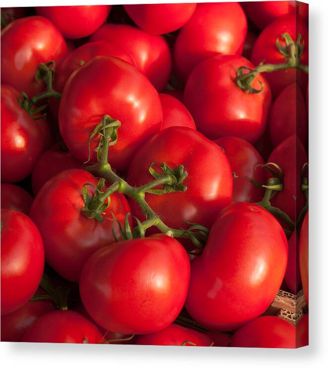 Photo Photographs Canvas Print featuring the photograph Red tomatoes by Philippe Taka