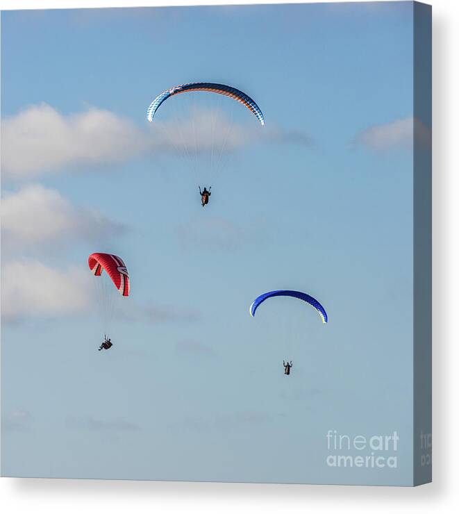 Beach Canvas Print featuring the photograph A Trio of Paragliders at Torrey Pines Gliderport by David Levin