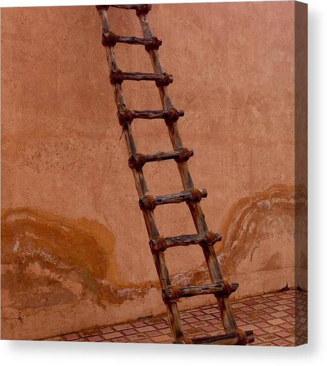Ladder Canvas Print featuring the photograph Al Ain Ladder by Barbara Von Pagel