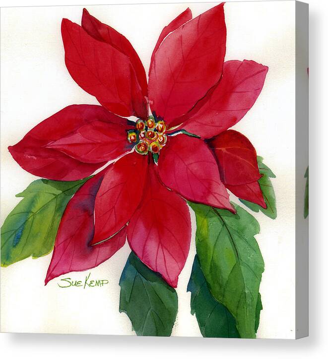Flower Painting Canvas Print featuring the painting Christmas Poinsettia by Sue Kemp