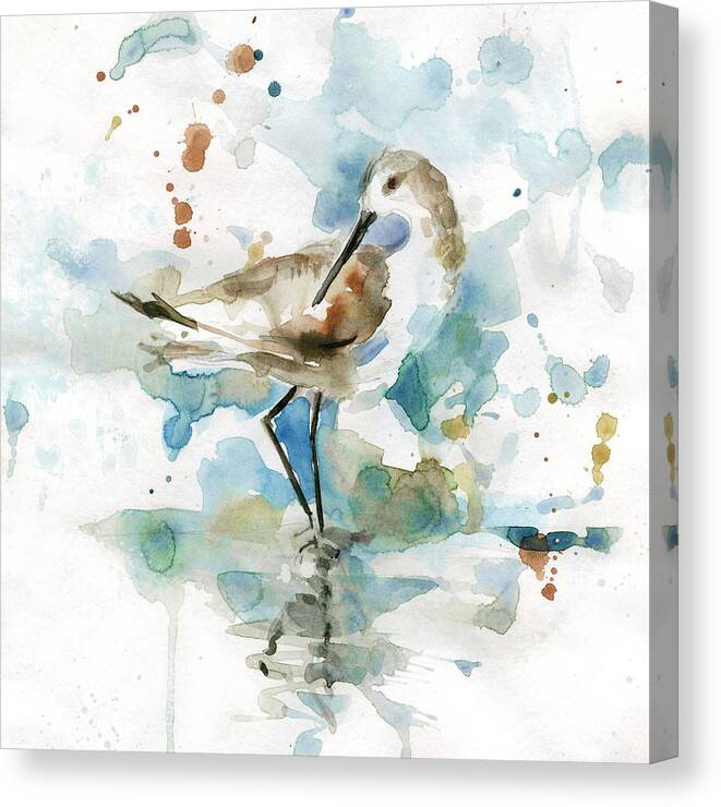 Beach Coastal Bird Sandpiper Teal Brown Waterclor Canvas Print featuring the painting Coatal Sandpiper 2 by Carol Robinson