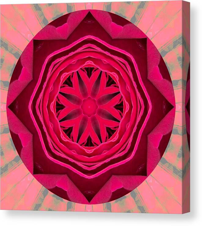 Mandala Canvas Print featuring the photograph Nature's Mix #2 by Hazy Apple