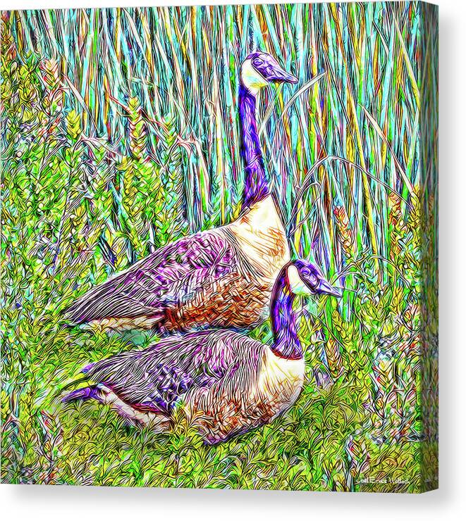 Joelbrucewallach Canvas Print featuring the digital art The Goose And The Gander - Lakeside Scene In Boulder County Colorado by Joel Bruce Wallach