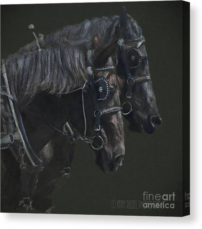 Horses Canvas Print featuring the photograph Two Percherons by Kathy Russell