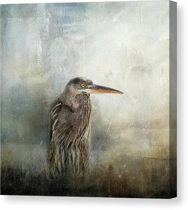 Blue Heron Canvas Print featuring the photograph Hiding In The Reeds by Jai Johnson