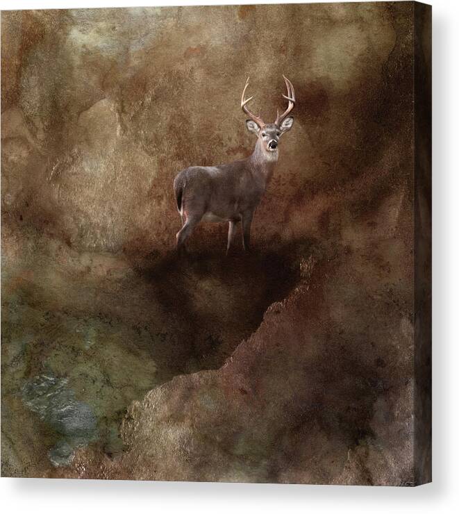 Deer Canvas Print featuring the photograph Natural Wonder by Jai Johnson