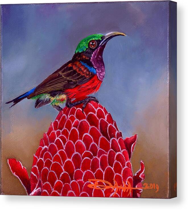 Birds Canvas Print featuring the painting Purple Throated Sunbird on Red Torch Ginger by Dana Newman