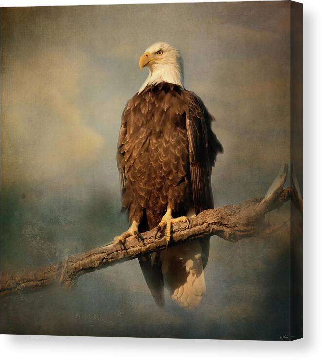 Bald Eagle Canvas Print featuring the photograph Sky Master by Jai Johnson