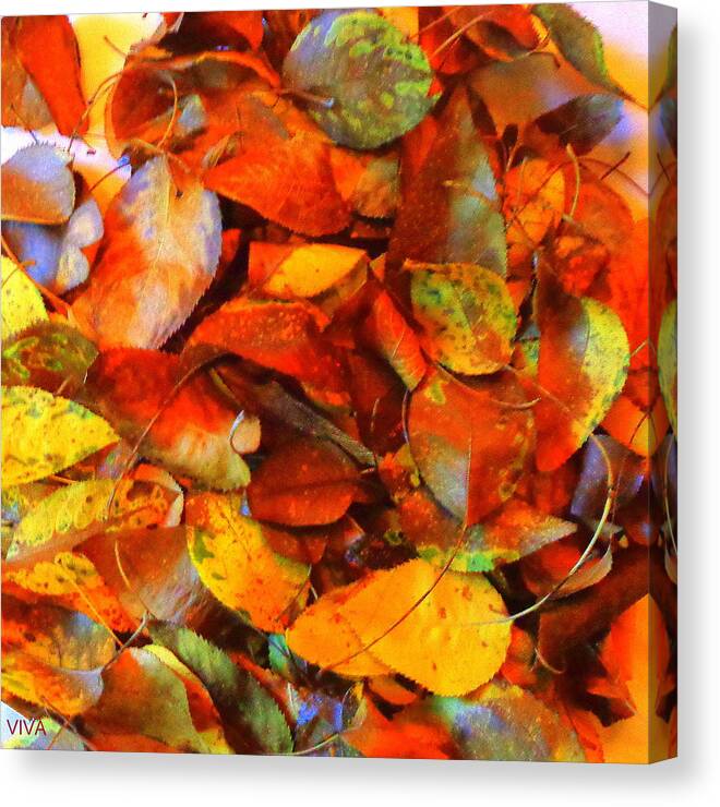 Autumn Ablaze Canvas Print featuring the photograph Autumn Ablaze by VIVA Anderson