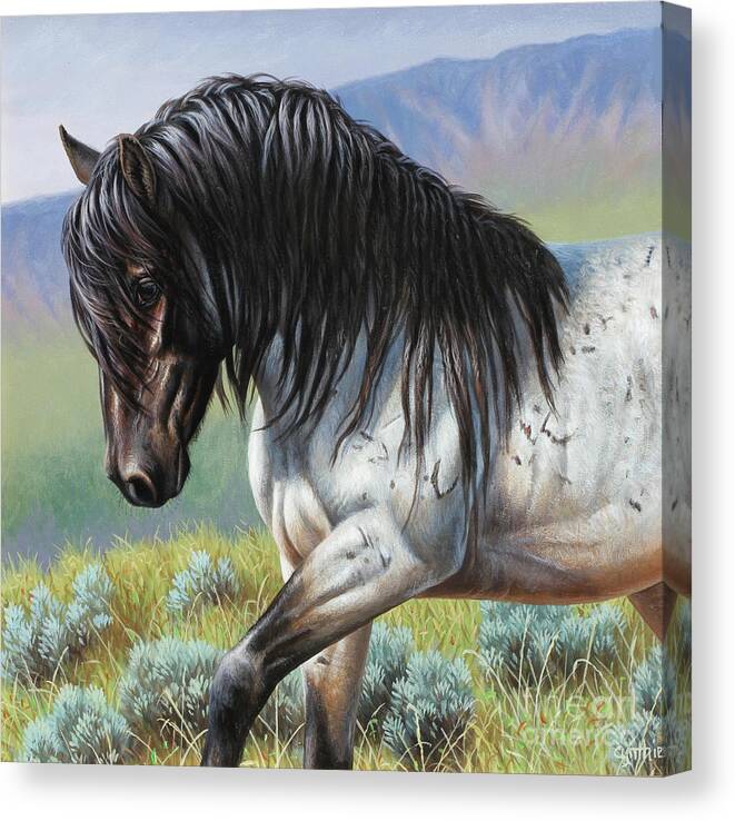 Cynthie Fisher Canvas Print featuring the painting Blue Roan, Horse by Cynthie Fisher