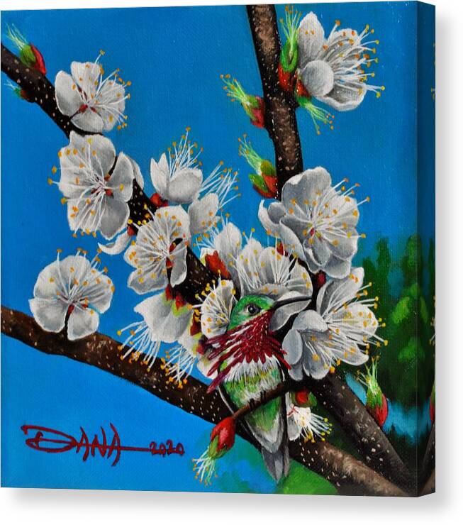 Birds Canvas Print featuring the painting Calliope on Plum Blossoms by Dana Newman